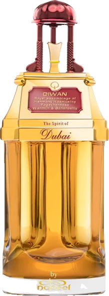 The Spirit of Dubai Diwan