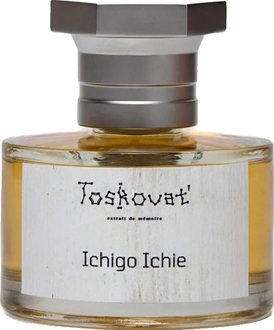 Toskovat' Ichigo Ichie