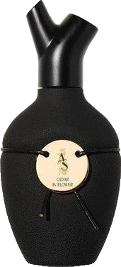 Scents of Wood Cedar in Flower