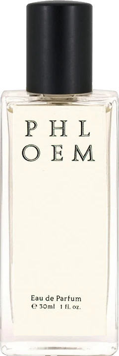 Jorum Studio Phloem
