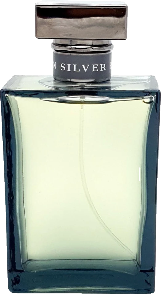 Ralph Lauren Romance Silver Men RARE & Vintage