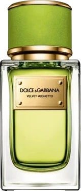 Dolce & Gabbana Velvet Mughetto