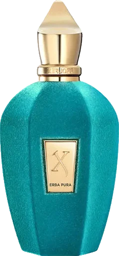 Xerjoff V Erba Pura
