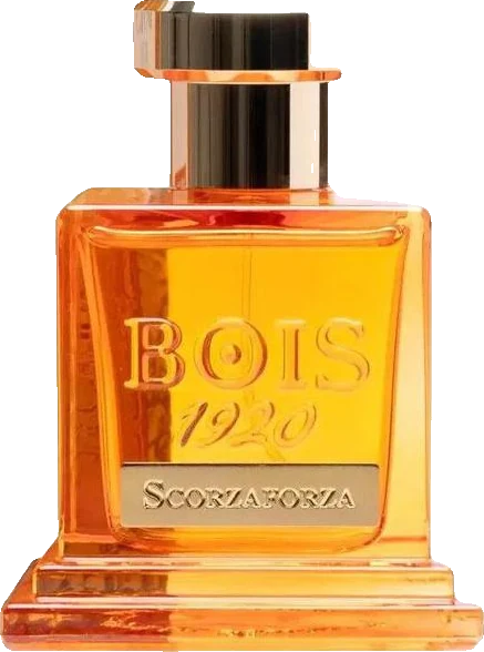 Bois 1920 Scorzaforza
