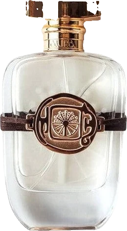 Aura of Kazakhstan 30 Years Special Edition