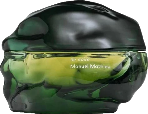 Manuel Mathieu île Noire