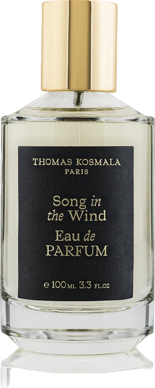 Thomas Kosmala Song In The Wind