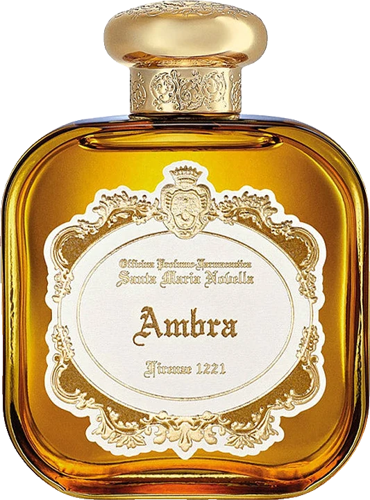 Santa Maria Novella Ambra