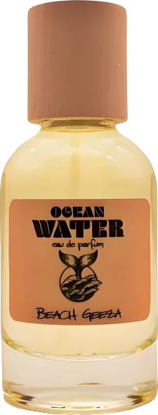 Beach Geeza Ocean Water