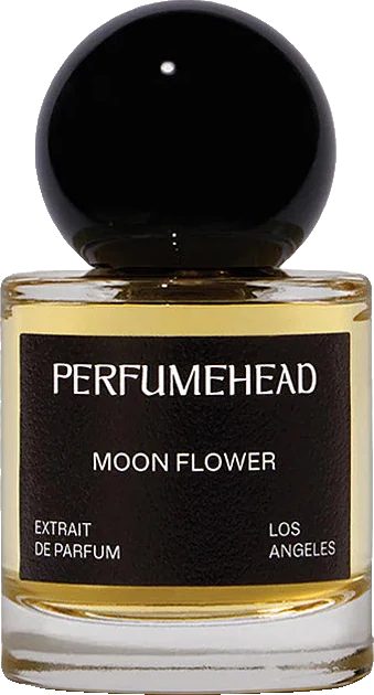 Perfumehead Moon Flower