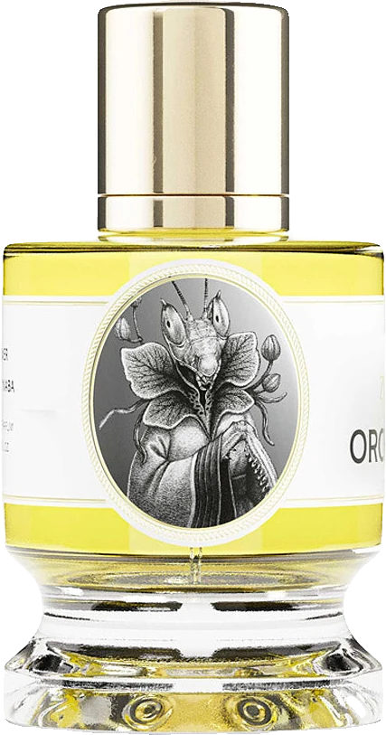 Zoologist Orchid Mantis