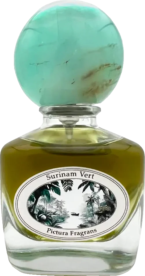 Pictura Fragrans Surinam Vert