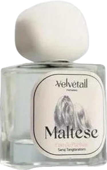 Velvétail Maltese