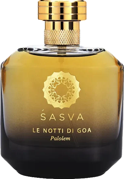 Sasva Le Notti di Goa Palolem