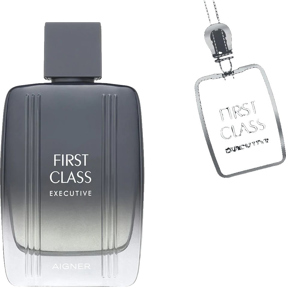 Etienne Aigner First Class Executive