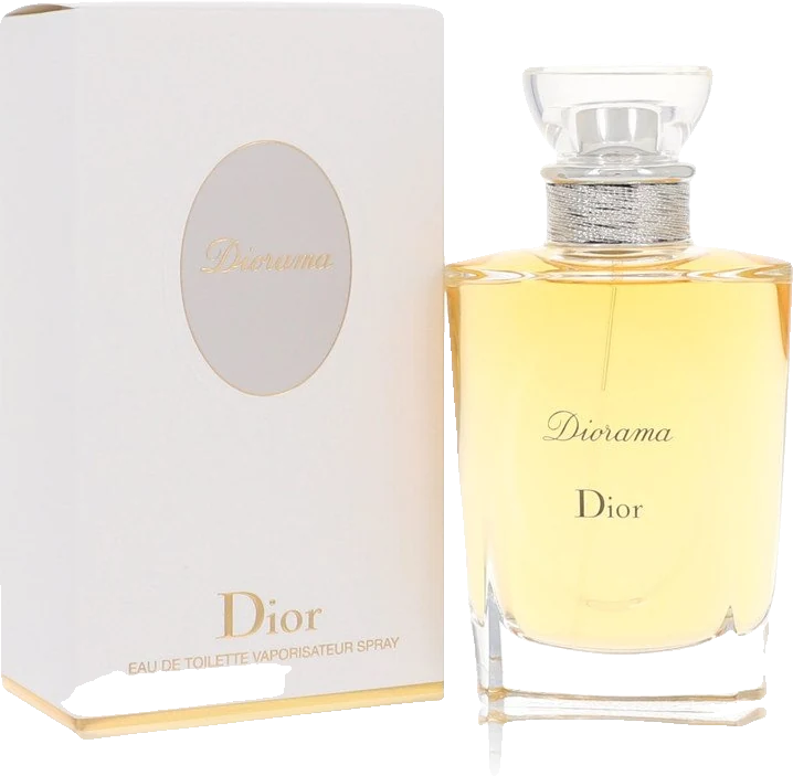Christian Dior Diorama