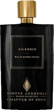 Simone Andreoli Silenzio