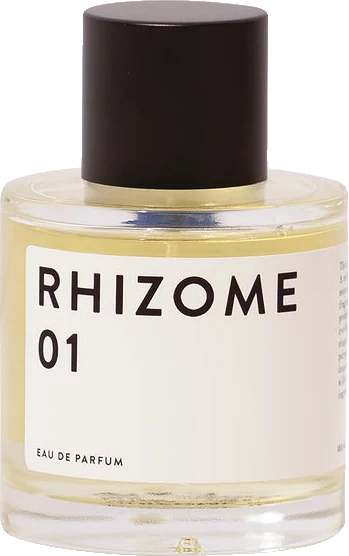 Rhizome 01