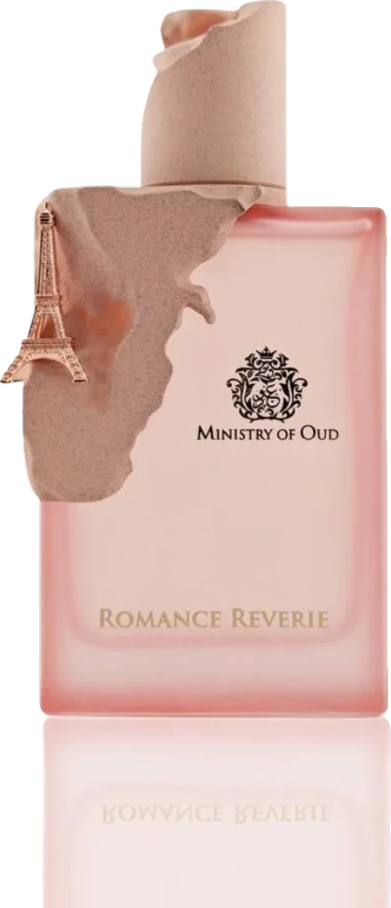 Paris Corner Romance Reverie