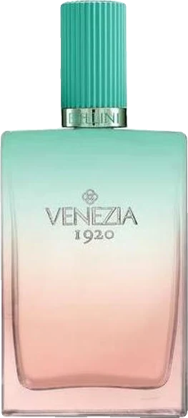 Venezia 1920 Bellini