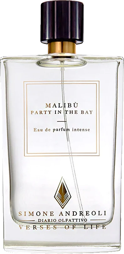 Simone Andreoli Malibu Party in the Bay
