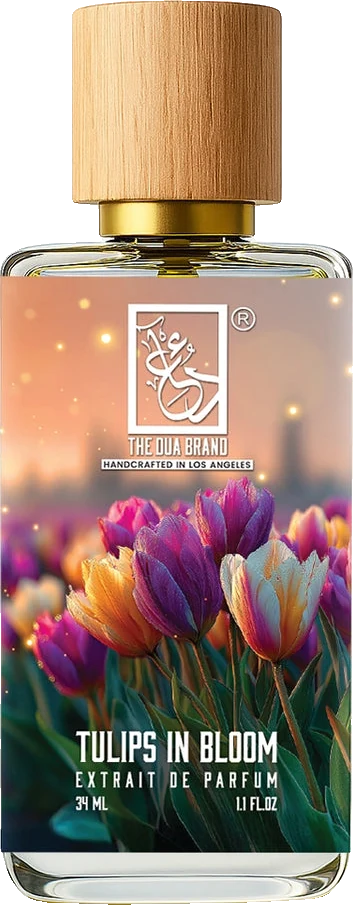 Dua Fragrances Tulips In Bloom