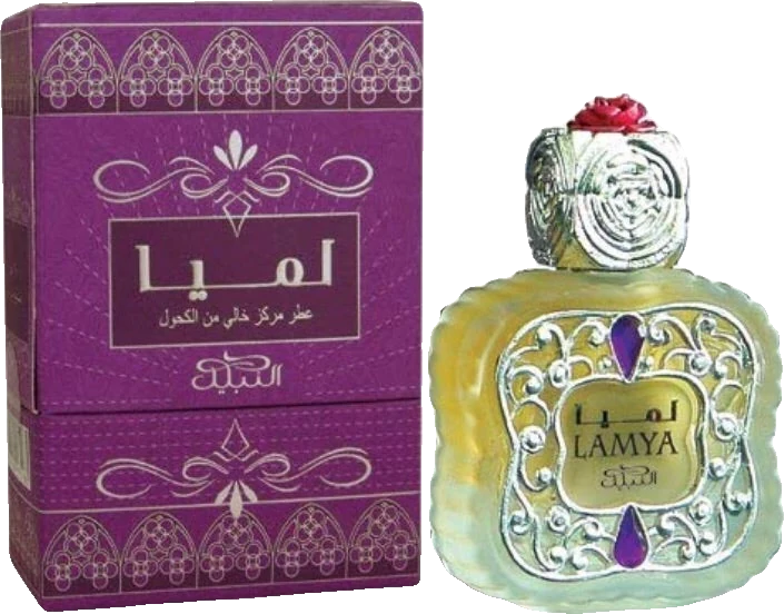 Nabeel Lamya