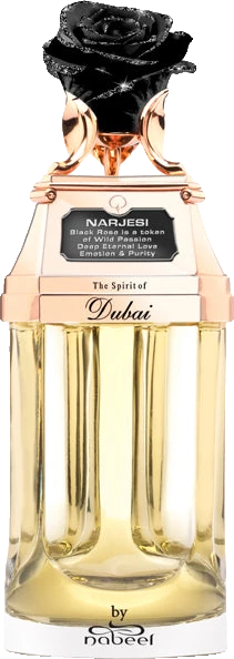 The Spirit of Dubai Narjesi