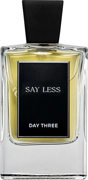 Day Three Say Less