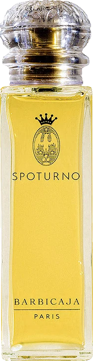 Spoturno Paris Barbicaja