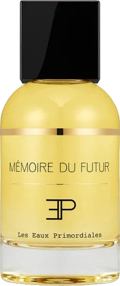 Les Eaux Primordiales Memoire du Futur