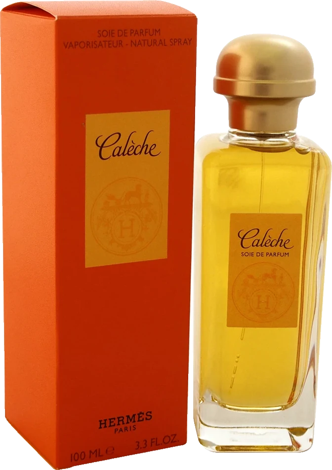 Hermes Caleche Soie