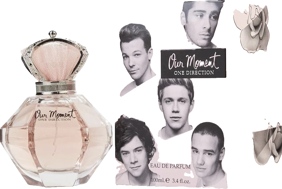 One Direction Our Moment