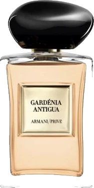 Giorgio Armani Gardénia Antigua