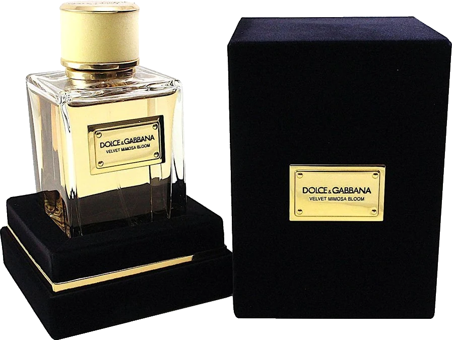 Dolce & Gabbana Velvet Mimosa Bloom