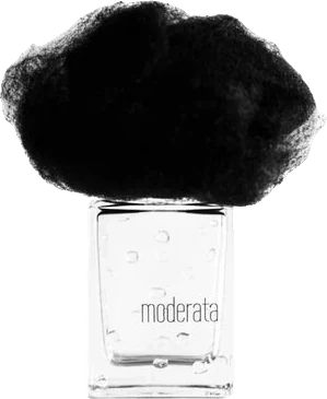 Filippo Sorcinelli Pioggia Moderata
