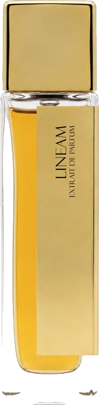 Laurent Mazzone Lineam