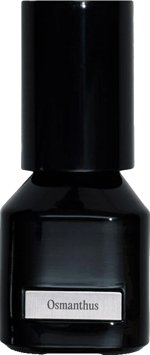 Raw Contrast Osmanthus