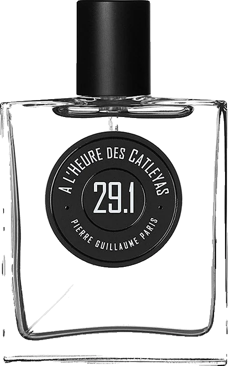 Pierre Guillaume Paris A L'Heure des Catleyas
