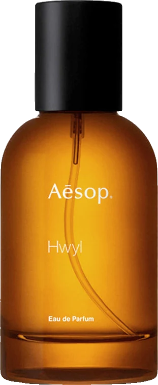 Aesop Hwyl