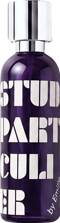 What We Do Is Secret Studio Particulier