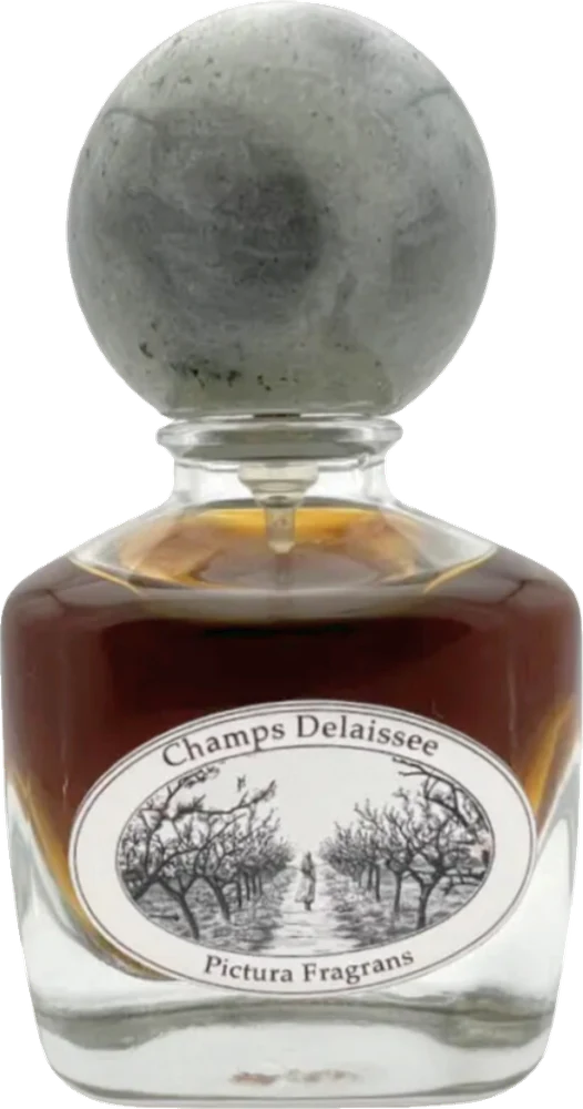 Pictura Fragrans Champs Délaissée