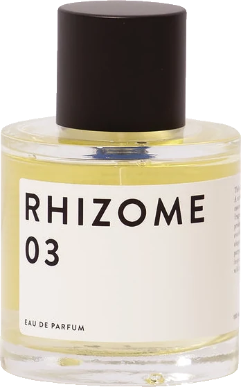Rhizome 03