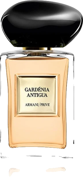 Giorgio Armani Prive Figuier Antigua