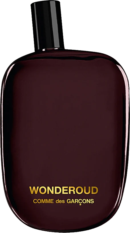 Comme des Garcons Wonderoud