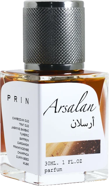 Prin Arsalan
