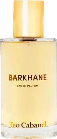 Teo Cabanel Barkhane