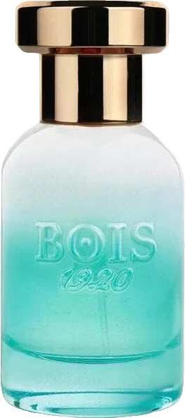 Bois 1920 Marasma
