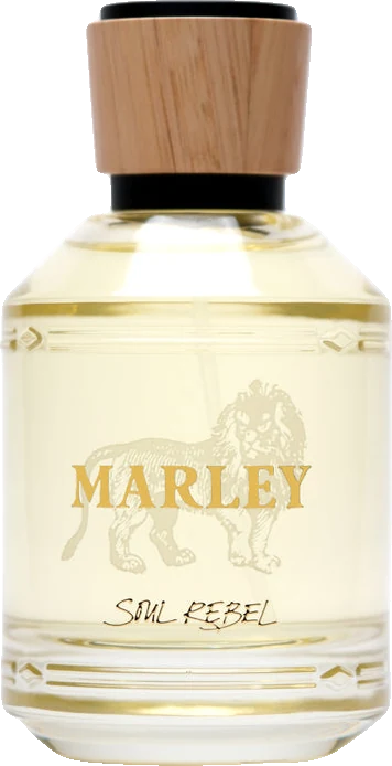 Bob Marley Soul Rebel