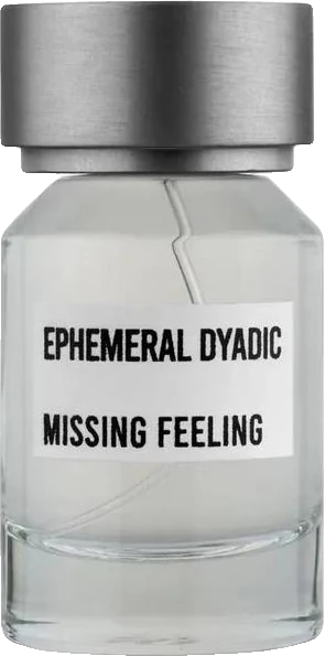 Ephemeral Dyadic Missing Feeling